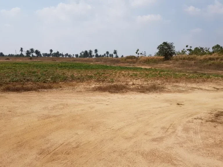 ที่ดิน เขาไม้แก้ว สุขุมวิท บางละมุง ชลบุรี