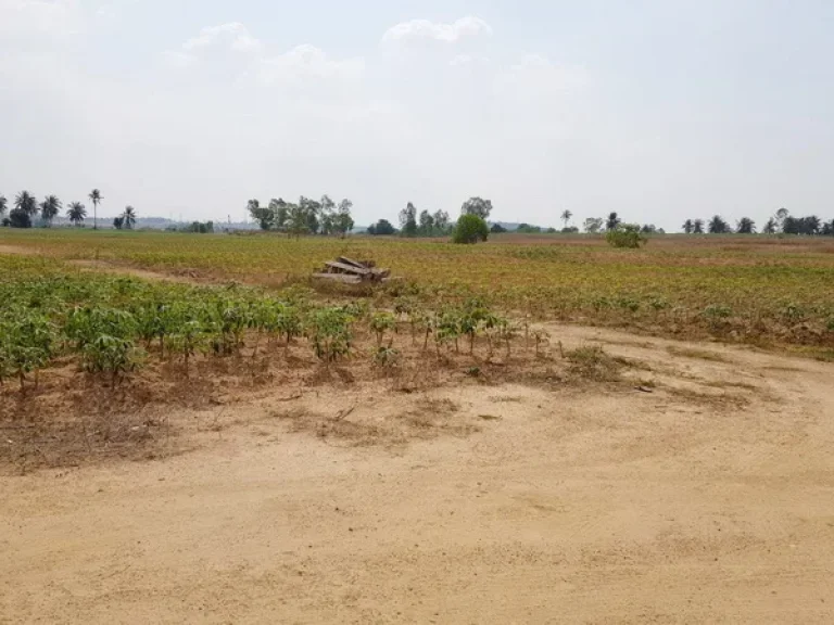 ที่ดิน เขาไม้แก้ว สุขุมวิท บางละมุง ชลบุรี