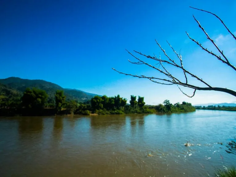 ขายรีสอทร์ พร้อมที่พัก เชียงราย