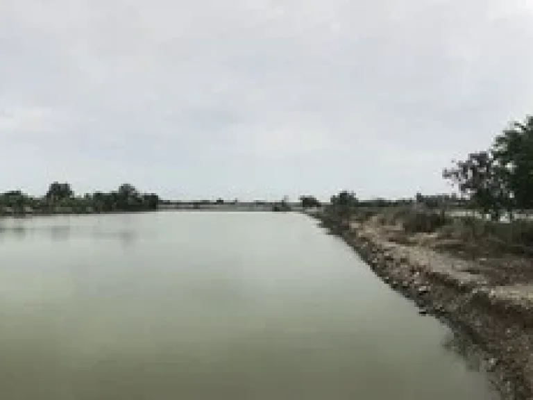 ขายที่ดินย่านบางนาตรงข้ามนิคมเวลโก