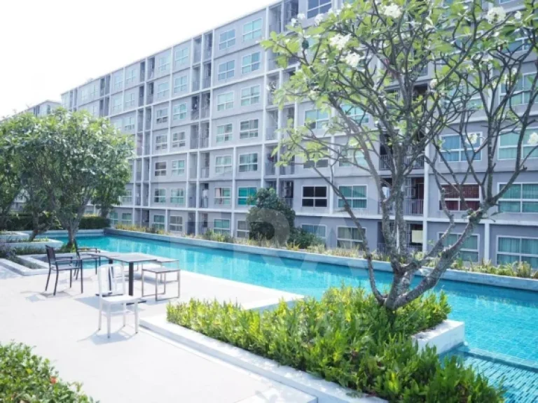 D Condo 2903 ตารางเมตร ถนนรามคำแหง แขวงหัวหมาก เขตบางกะปิ กรุงเทพฯ ราคา 1690000 บาท