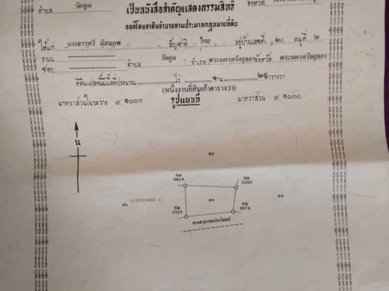 ขายที่ดินริมน้ำคลองวัดตูม อพระนครศรีอยุธยา 529 ตรว ที่ดินสวยมาก ติดน้ำ 2 ด้าน