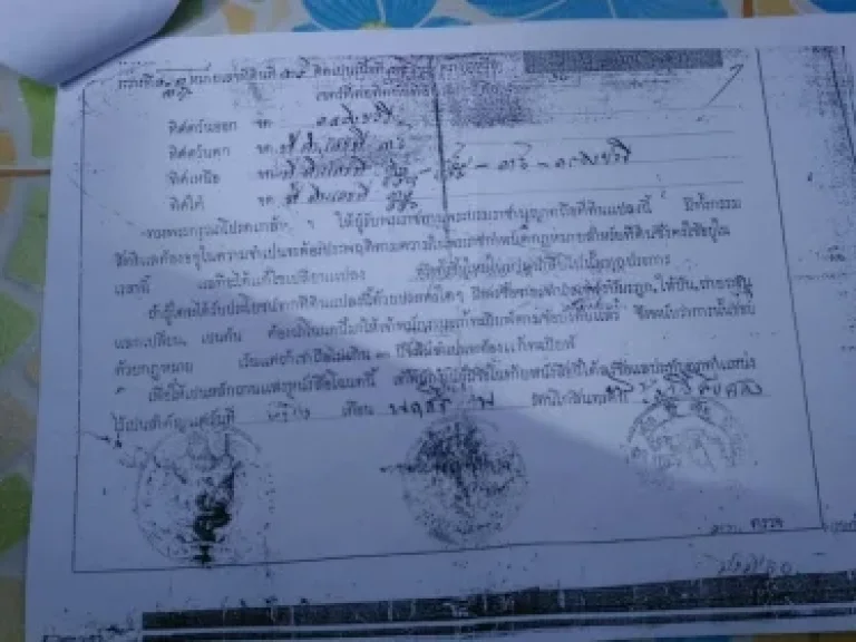 เลขที่โฉนด28714 ขายที่ ตำบลบางยี่โท อำเภอบางไทร จังหวัดพระนครศรีอยุธยา มี 10 ไร่ มีทางเข้าออกได้ 2 ทางครับ อยู่หลังวัดบางยี่โทขายไร่ละ 5แสนครับ ขายที