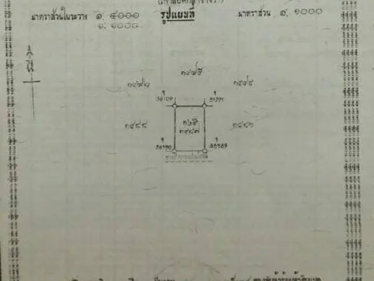 ขายที่ดิน 96 ตรว เจดีย์หัก เมืองราชบุรี