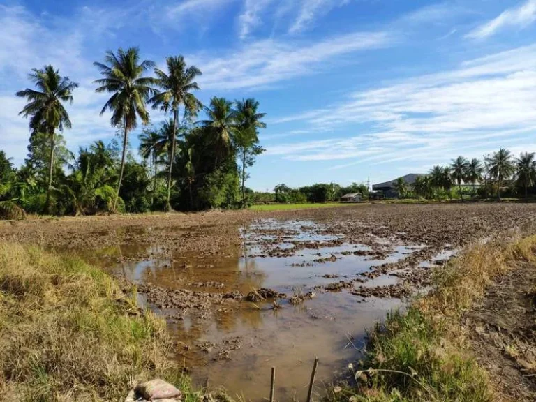 ขายที่ดินติดถนน 2 ด้าน 5 ไร่ บ้านกร่าง ศรีประจันต์ เพียง 26 ล้านเท่านั้น