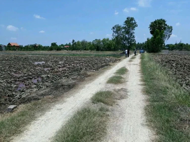 ขาย ที่ดินเปล่าติดริมแม่น้ำน้อย สภาพพื้นนา หน้าแม่น้ำกว้าง 33 ม หันทิศตะวันตก หน้าติดถนนสาธารณะ 33 มลึก 200ม เขตขุมชน ตกระแชง ไม่ไกลกรุงเทพ สะ