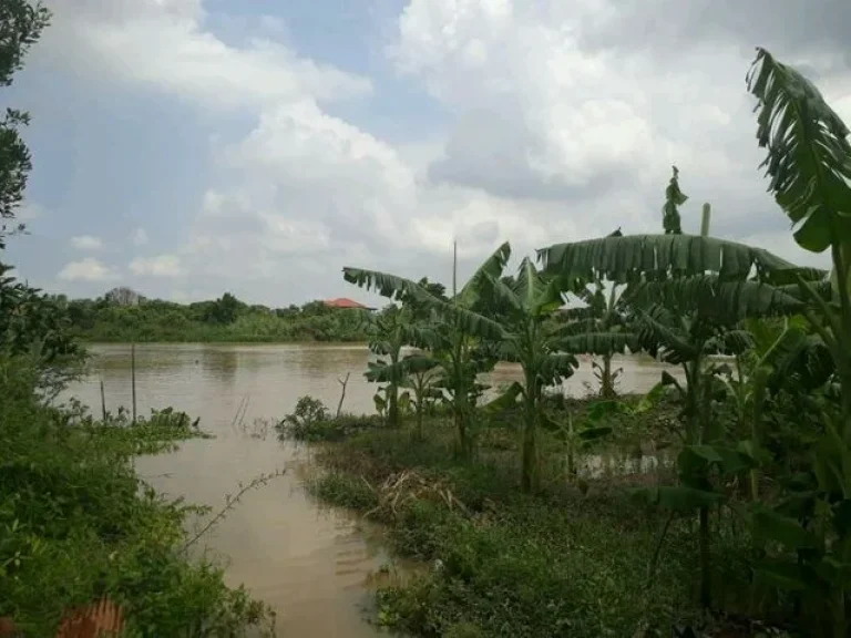 ขาย ที่ดินเปล่าติดริมแม่น้ำน้อย สภาพพื้นนา หน้าแม่น้ำกว้าง 33 ม หันทิศตะวันตก หน้าติดถนนสาธารณะ 33 มลึก 200ม เขตขุมชน ตกระแชง ไม่ไกลกรุงเทพ สะ