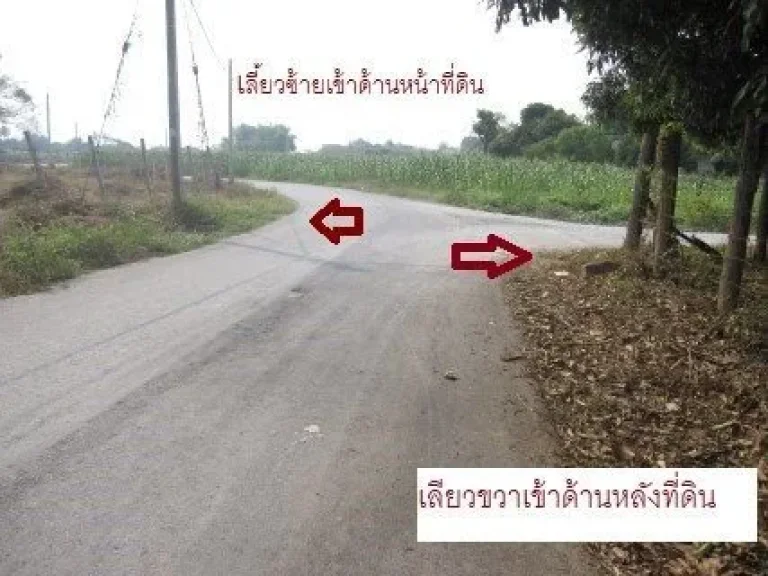 ที่ดิน3ไร่ สามล้านสอง ติดถนนหน้า-หลัง อยู่ในชุมชน