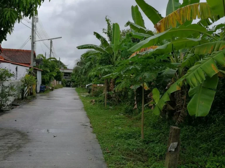 ขาย 20 ล้าน ที่ดินเปล่า 690 ตรว ในอเมือง สงขลา