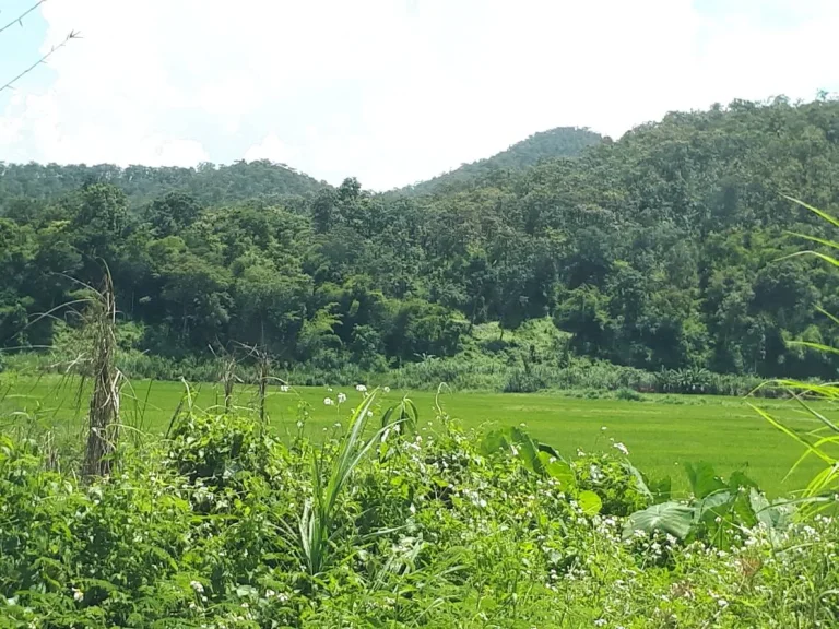 ที่ดินเปล่า พร้อมเกษตาสวนผสม