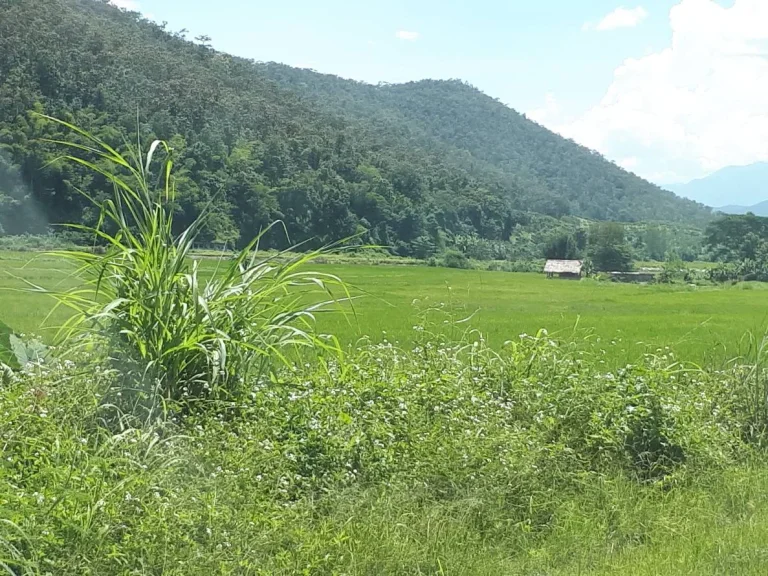 ที่ดินเปล่า พร้อมเกษตาสวนผสม