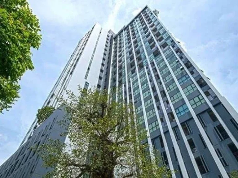 Knightsbridge Duplex Tiwanon 29 ตรม 1 นอน 1 น้ำ ชั้น 8 มีอาคารเดียว ราคา 11000 บาท