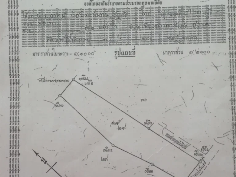 ขายที่ดินหน้าติดทะเลหลังติดเขา