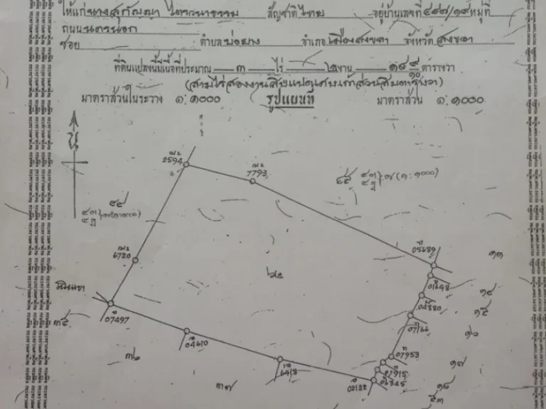 ขายที่ดินหน้าติดทะเลหลังติดเขา