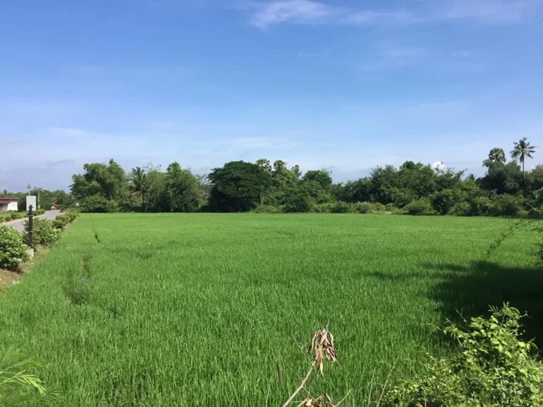 ขายที่ดิน 4 ไร่ ใกล้สถานีรถไฟปากท่อ