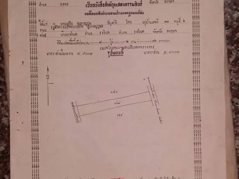 ขายที่ดินเปล่าถมแล้ว 8 ไร่ 2 งาน 36 ตารางวา ติดถนน สาย408 ต ระวะ อ ระโนด สงขลา