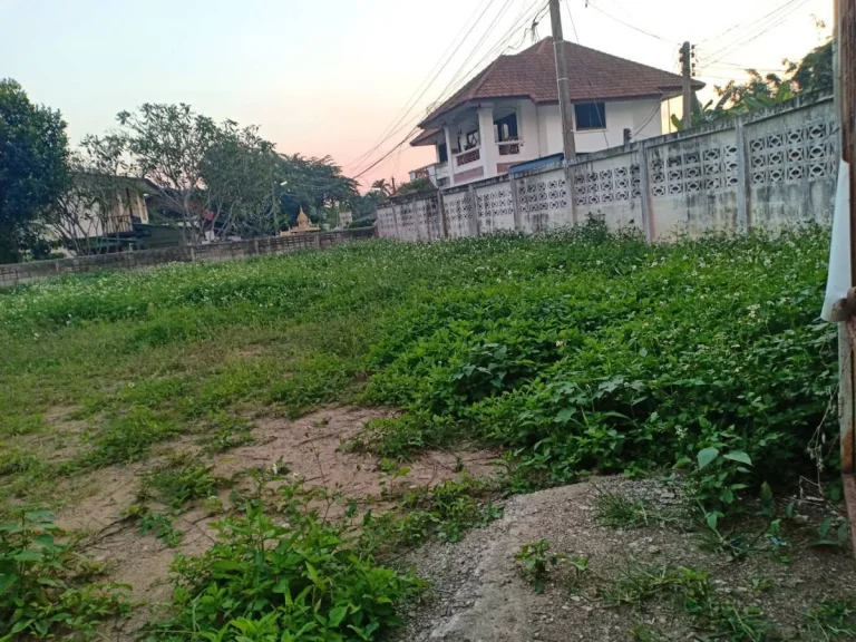 ขายที่ดินกองทรายห่างถนนต้นยาง 100 เมตร