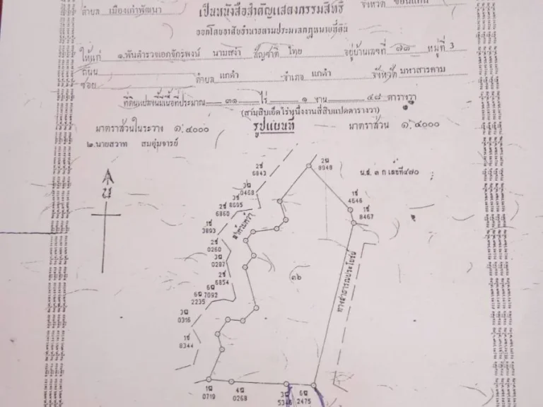 ขายที่ดินโฉนด วิวธรรมชาติ