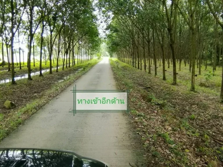 ที่ดิน มีคลองด้านหน้า ภูเขาด้านหลัง เนื้อที่ 200 ตรว ตเขาเพิ่ม อบ้านนา จนครนายก