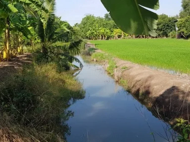 ที่สวนทำเลดี 2ไร่3งาน55ตรว พื้นที่สีชมพู ตบ้านใหญ่ อเมืองนครนายก