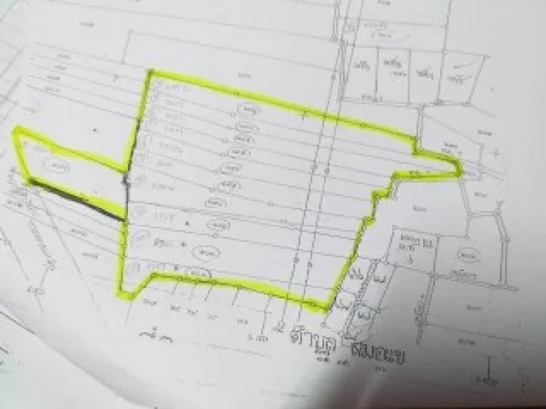 ขายที่ดิน 132 ไร่ ไร่ละ 2000000 มีสระน้ำ ใกล้แยกซีพี ใกล้แยกดงประโดก ตสมอแขล อเมือง จพิษณุโลก