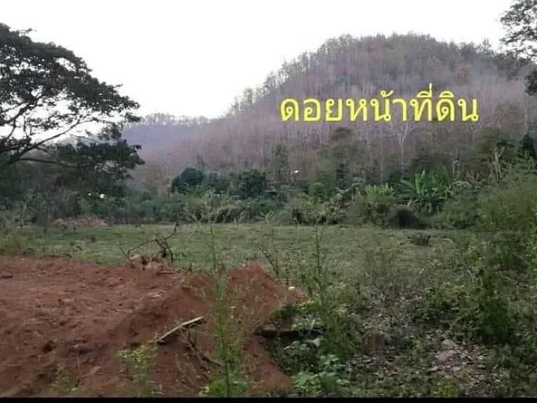 ขายที่ดินสุเทพ ไกล้คำหมอกหลวง เห็นดอยสุเทพ ราคาถูก