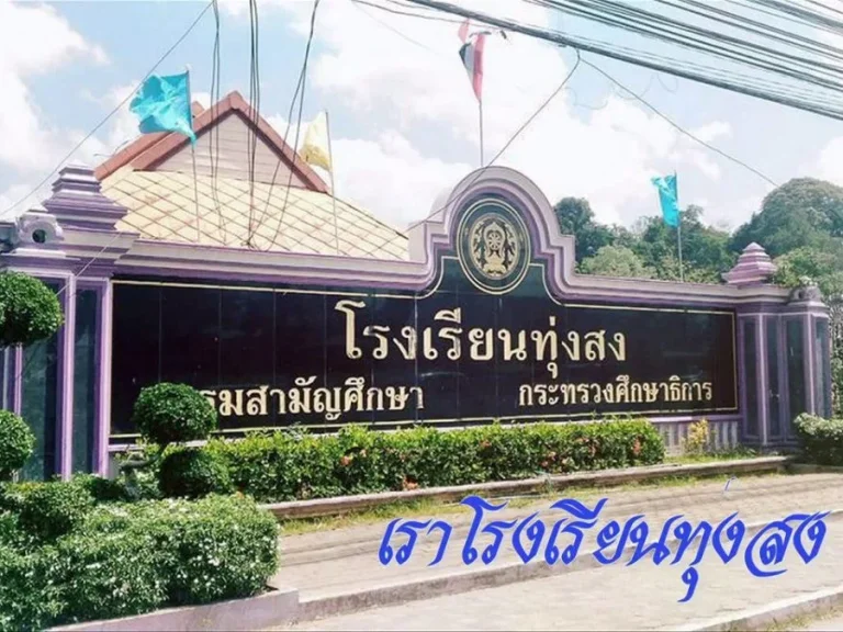 ขาย 28-38 ไร่ ติดถนนเอเชีย 0831776597