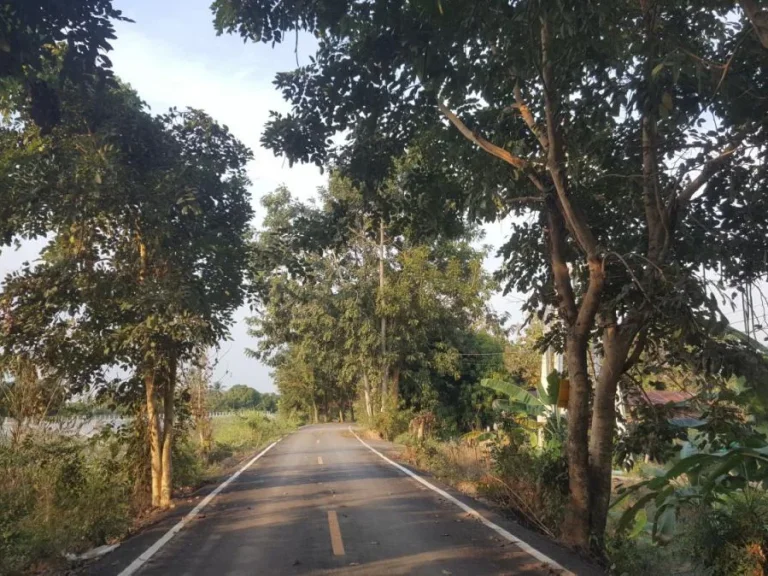 ขายที่ดินพร้อมทำเลดี มีที่พักอาศัย