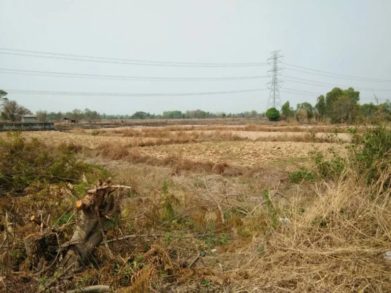 ขายที่ดิน 10 ไร่ ฟรีค่าโอน ติดถนน อำเภอเพ็ญ จังหวัดอุดรธานี เจ้าของขายเอง