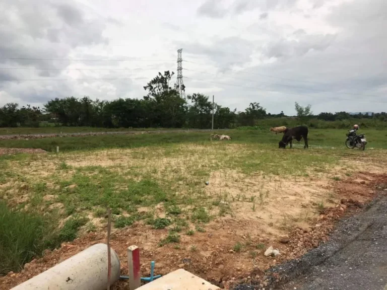 ขายที่ดินห่างเซ็นเฟส 58 km ราคาถูก