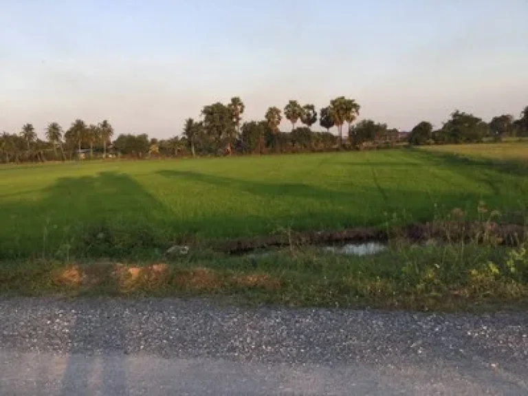 ขายที่ดินเกือบ 8 ไร่ขายเหมายกแปลง 4 ล้าน อำเภอเมือง จังหวัดสุพรรณบุรี