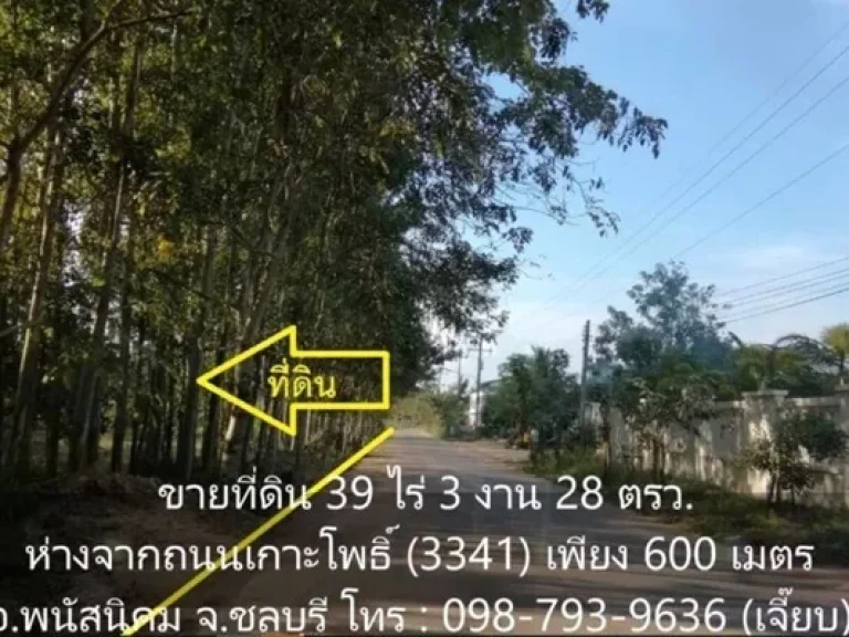 ขายที่ดิน ตำบลท่าบุญมี อำเภอเกาะจันทร์ ชลบุรี 39 ไร่ 3 งาน 28 ตรว