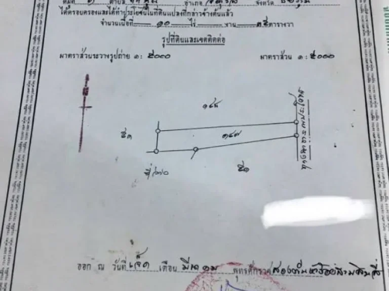 ขายที่ดิน ติดโรงงานแป้งมันสัมปะหลัง ชัยภูมิ