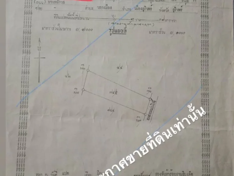 ขายที่ดินมีโฉนด 309 ตารางวา บ้านหลักวอ ตนอกเมือง อเมือง จสุรินทร์