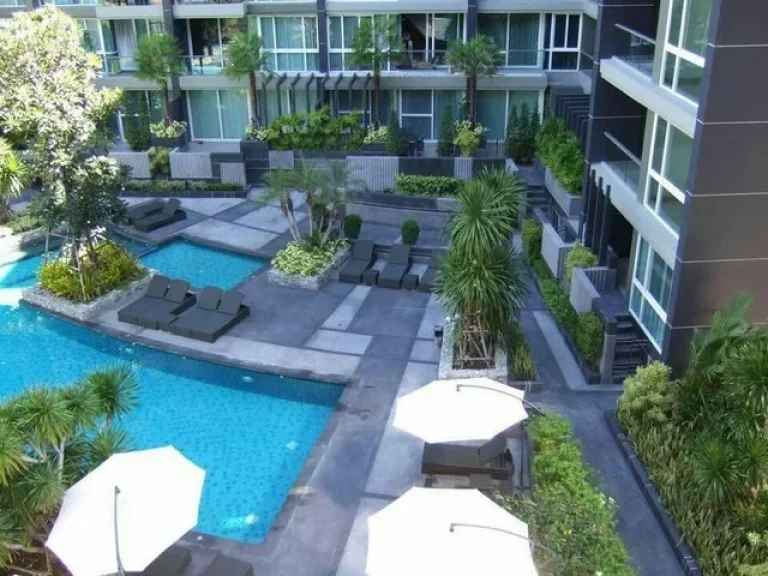 Apus Condo Pattaya Center- เอปัส พัทยากลาง ขาย 459 ล พร้อมผู้เช่า