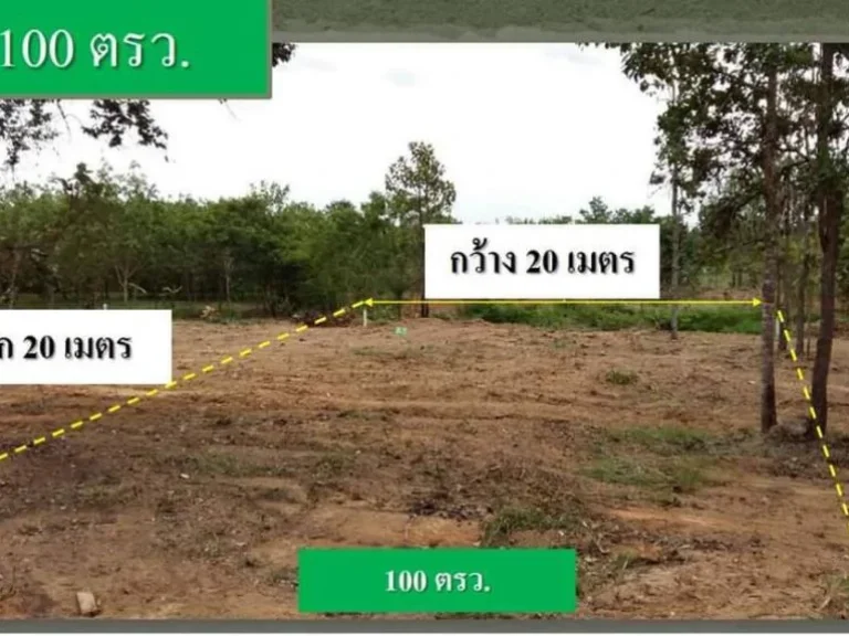 ขายที่ดินโฉนดพร้อมโอนราคาไม่แพง100 ตรวผ่อนได้ For Sale