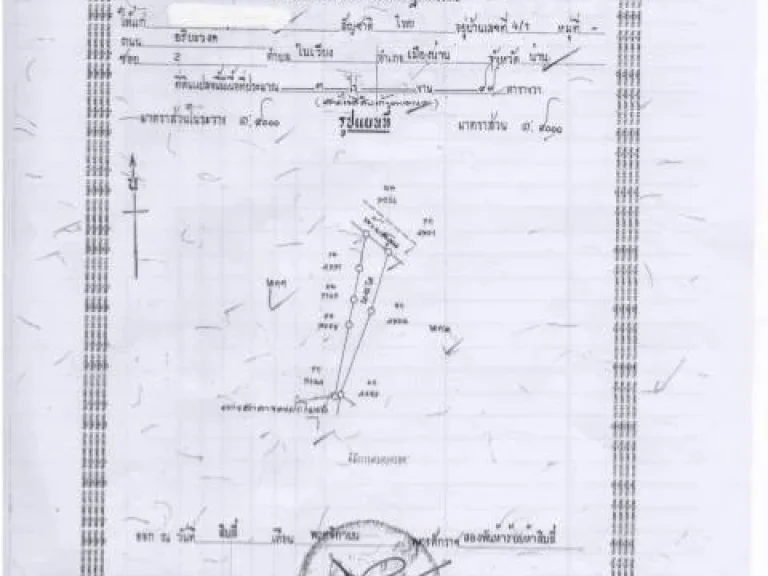 ขายที่ดิน เนื้อที่ทั้งหมด 45 ไร่