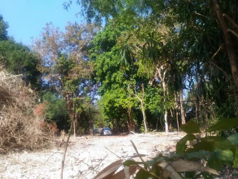 Land for Sale - ที่ดินใกล้กับโรงพยาบาลวารินชำราบ