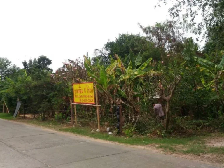 Land for Sale - ที่ดินใกล้กับโรงพยาบาลวารินชำราบ