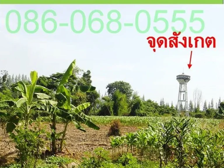 ที่ดินเปล่า ใกล้ถนนเชียงใหม่-ฮอด