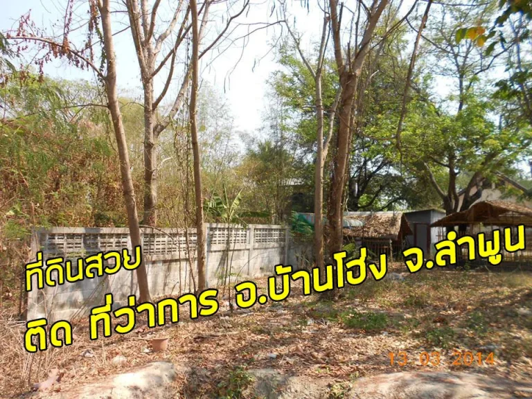 ที่ดินติดที่ว่าการอำเภอบ้านโฮ่ง