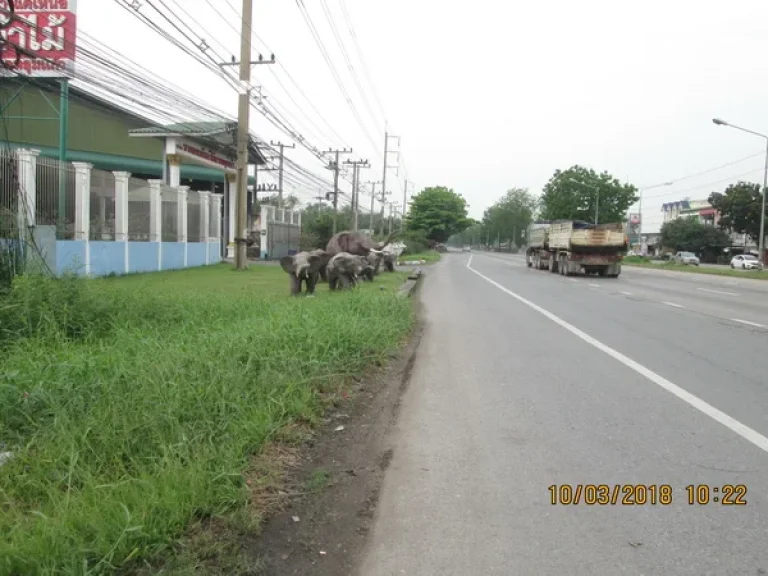 ที่ดิน ลาดหลุมแก้ว ถนน ตลิ่งชัน  สุพรรณบุรี อลาดหลุมแก้ว จปทุมธานี