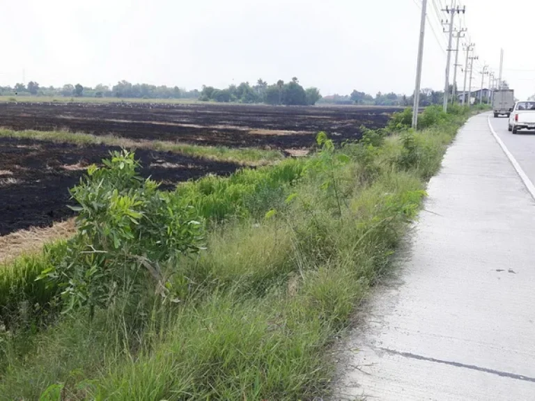 ที่ดิน หนองเพรางาย ไทรน้อย ถนนกาญจนาภิเษก อบางบัวทอง จนนทบุรี