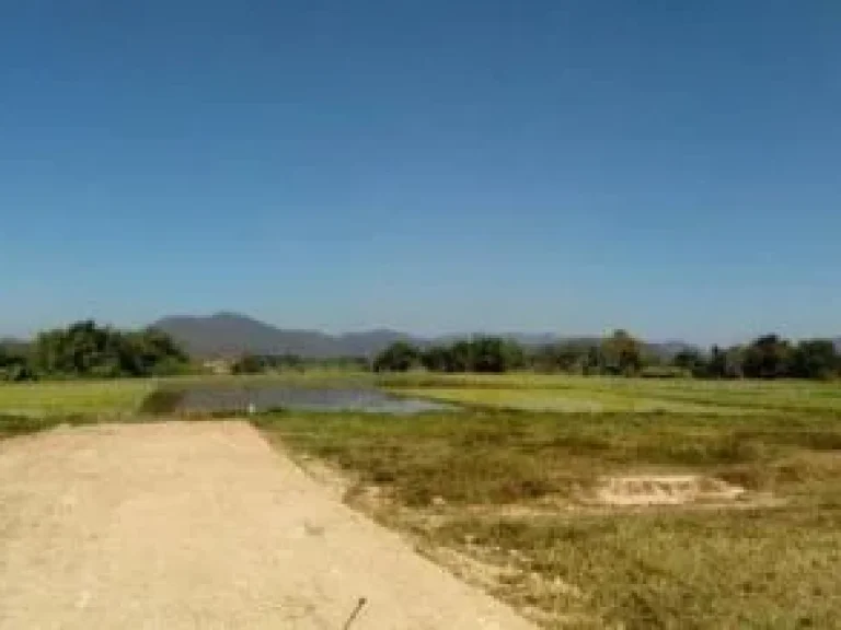 ที่นาวิวภูเขาล้อม ดอยสะเก็ด เชียงใหม่