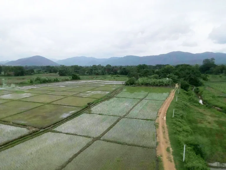 ที่นาวิวภูเขาล้อม ดอยสะเก็ด เชียงใหม่