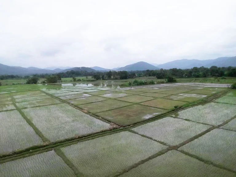 ที่นาวิวภูเขาล้อม ดอยสะเก็ด เชียงใหม่