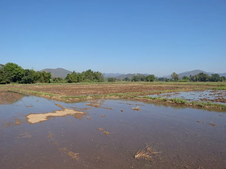 ที่นาวิวภูเขาล้อม ดอยสะเก็ด เชียงใหม่