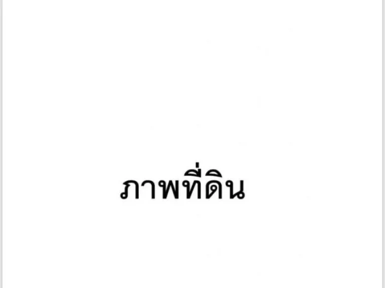 หานายทุนจริงขอคนเอาจิงคะซื้อที่ สุพรรณบุรี