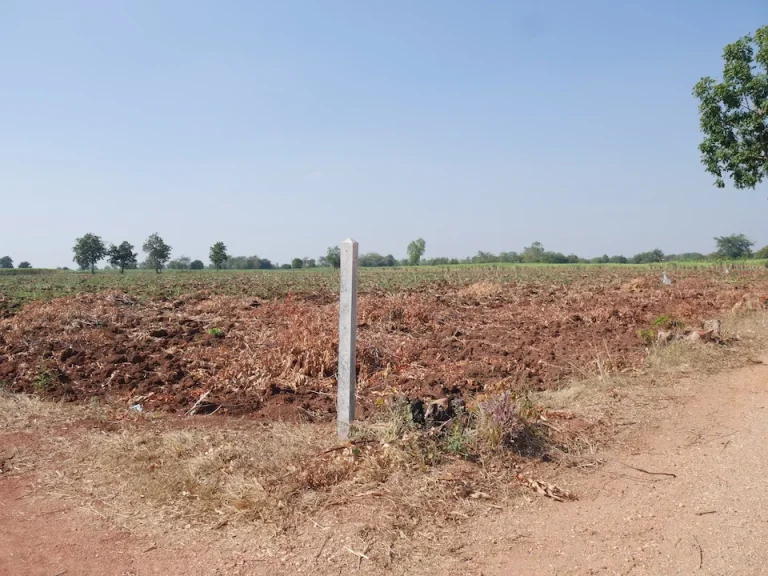 ขายที่ดิน ติดถนน พระทองคำ หน้ากว้าง 360 เมตร