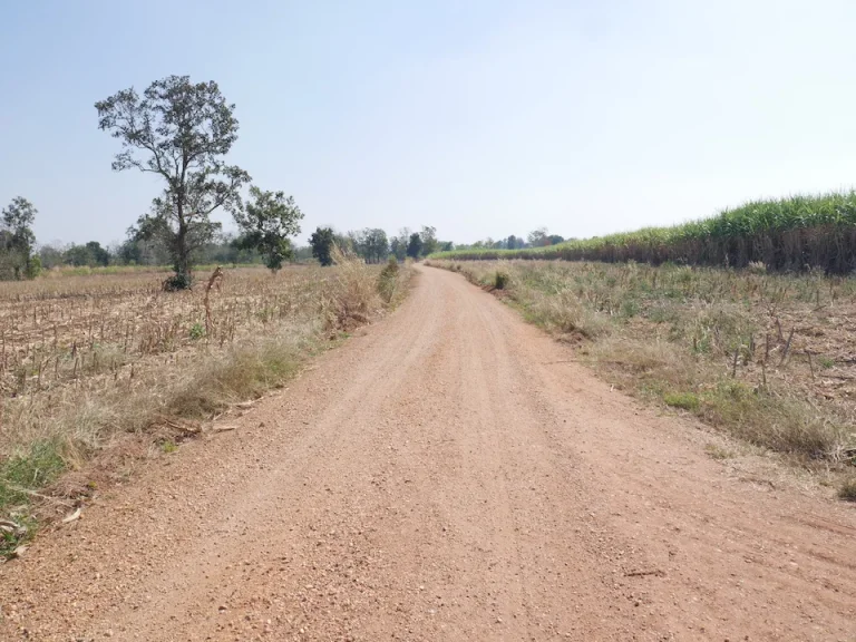 ขายที่ดิน ติดถนน พระทองคำ หน้ากว้าง 360 เมตร